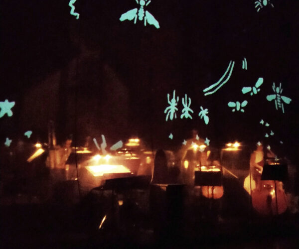 Motion design et mapping vidéo par Marc de Blanchard - Rennes, Bretagne