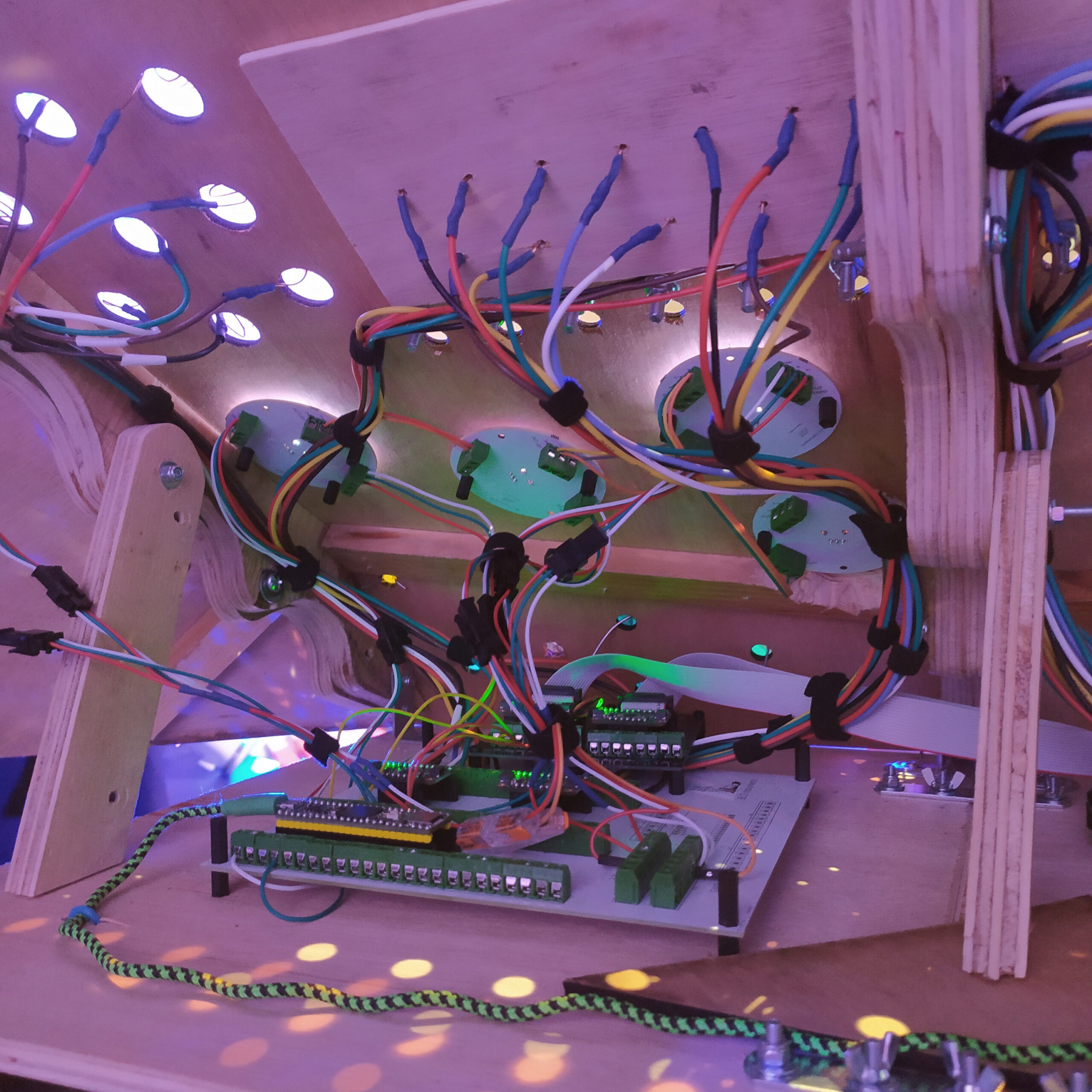 PLF_003_V2