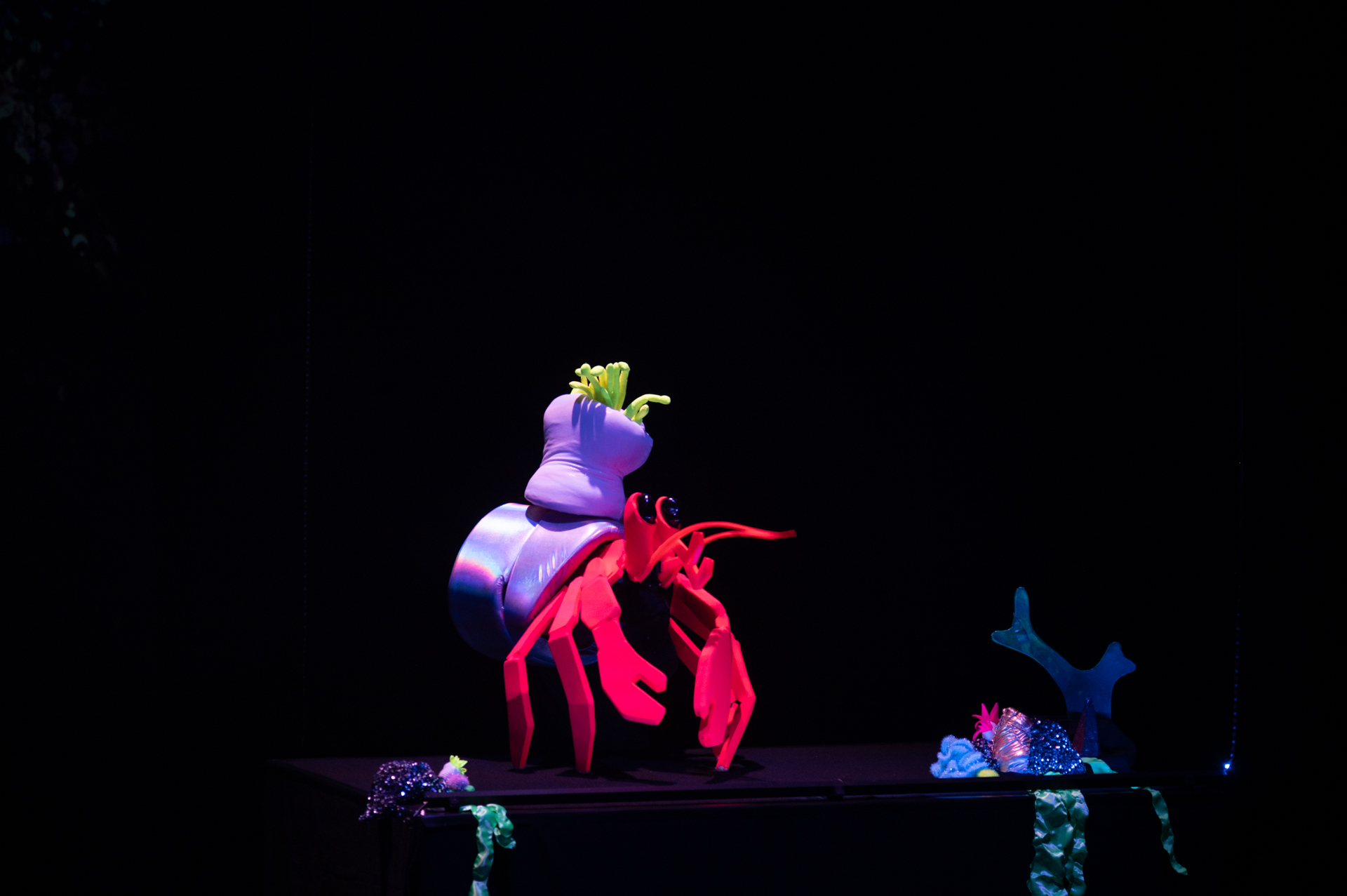 coquillediamant-web-14Estelle Chaigne